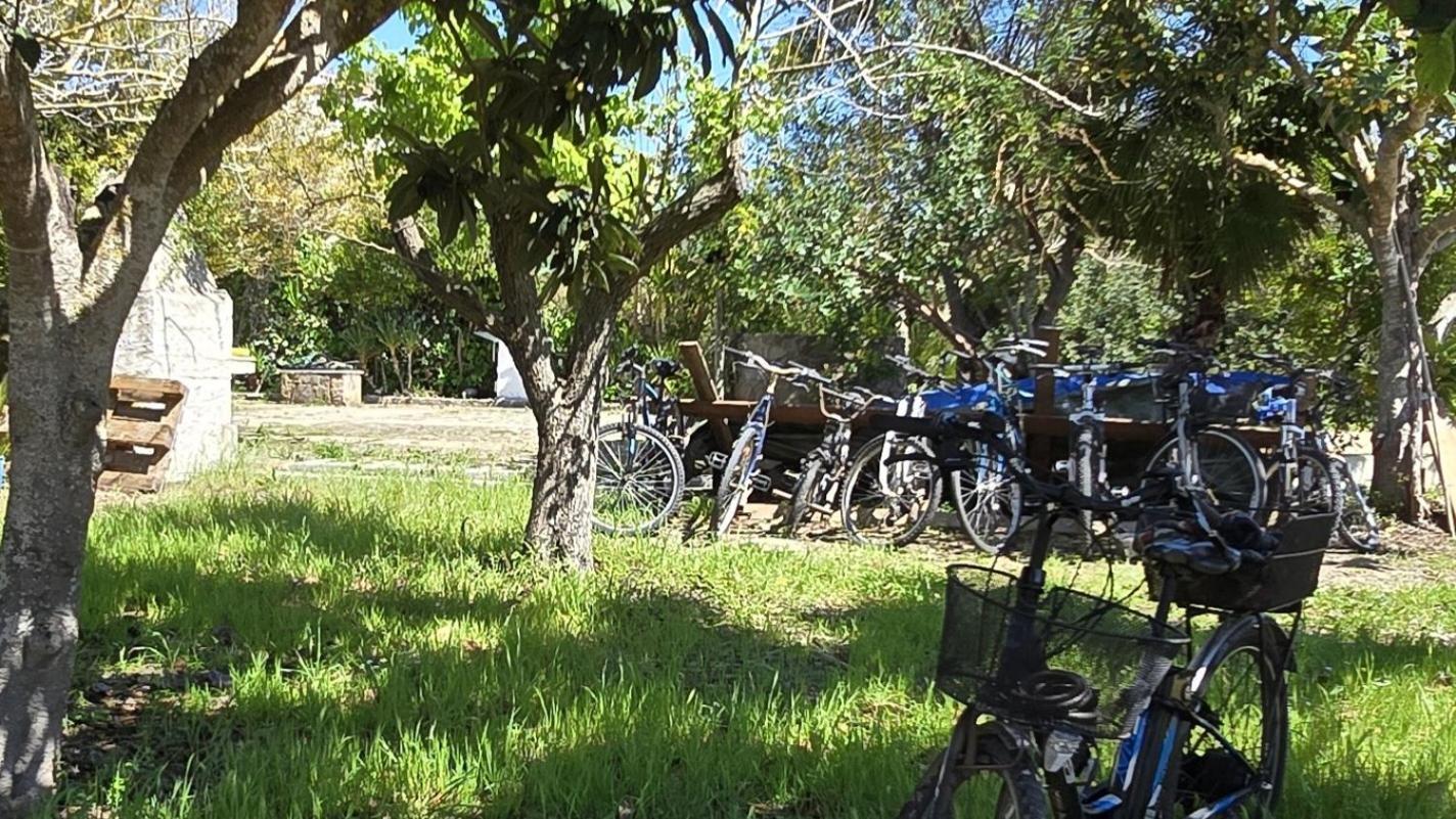Alghero In Bicicletta Extérieur photo